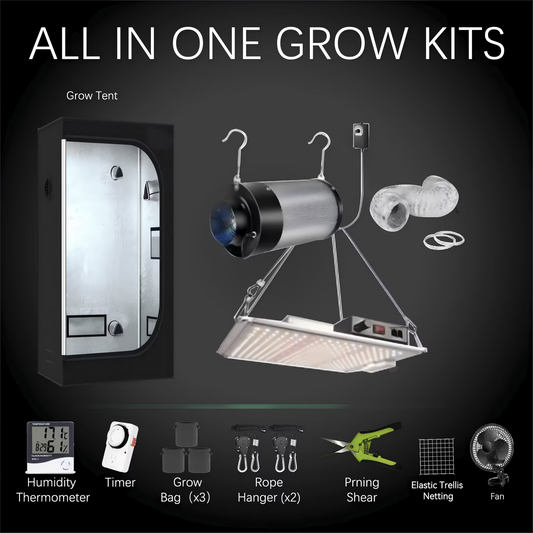 Greeners Growbox Komplettset 80x80x160 – mit Samsung Power & Style